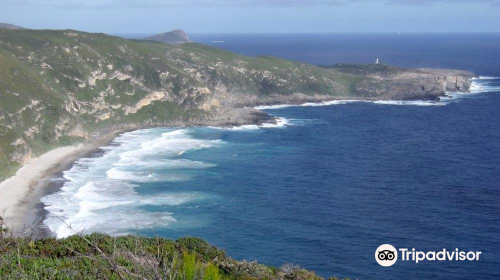 Sharp Point Lookout