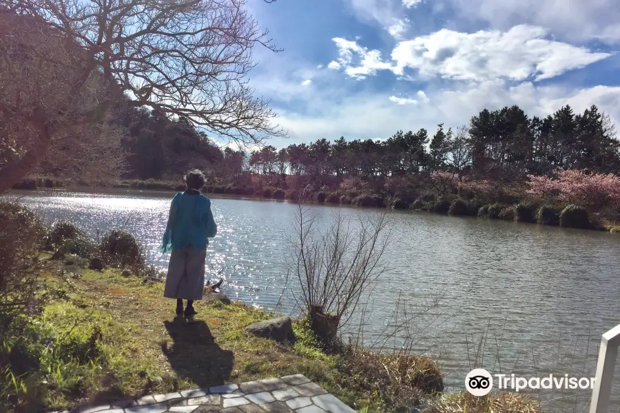 井田海水浴場