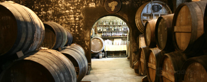 COGNAC J. Painturaud