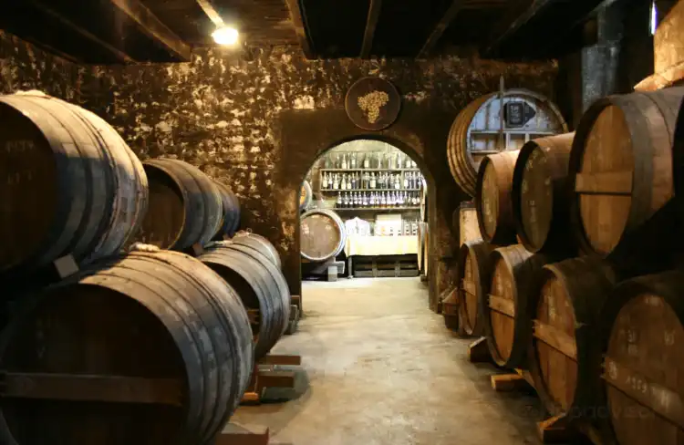 Hôtels à : Segonzac