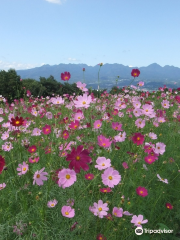 鼻高展望花之丘