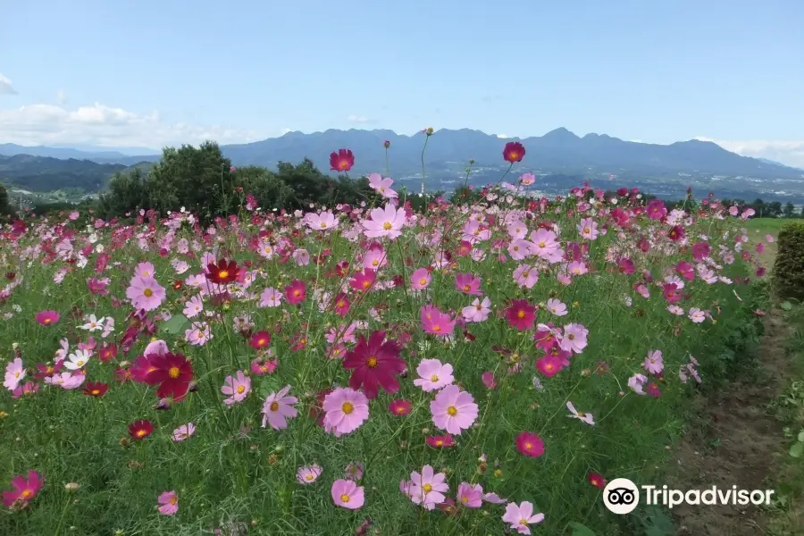 鼻高展望花の丘