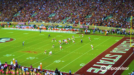 Doak S. Campbell Stadium