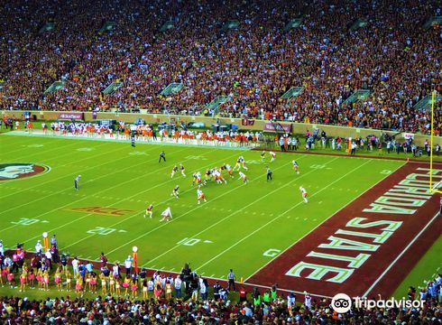 Doak S. Campbell Stadium
