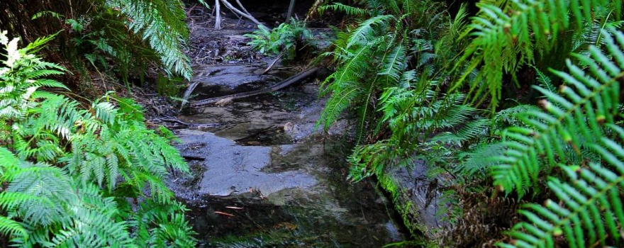 Wolgan Valley