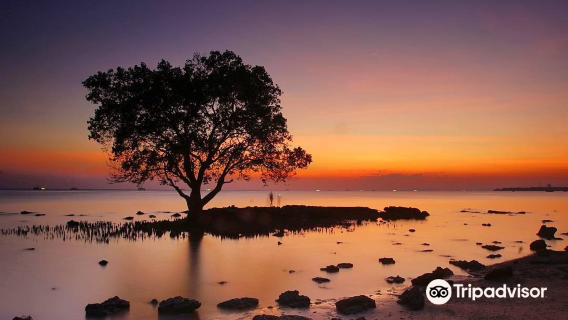 Kupang