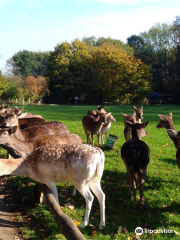 Wildpark Düsseldorf Grafenberg