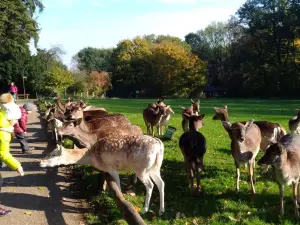 Wildpark Grafenberg