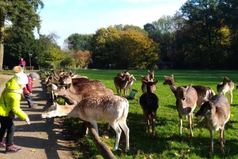 Wildpark Grafenberg