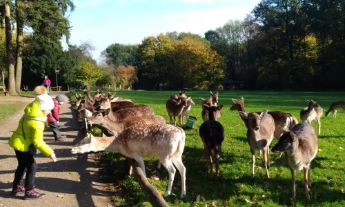 Wildpark Grafenberg