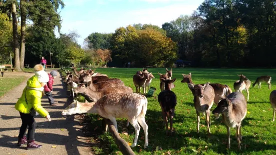 Wildpark Grafenberg