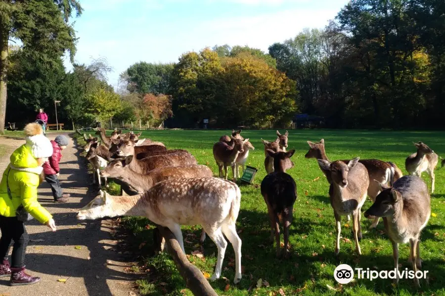 Wildpark Grafenberg