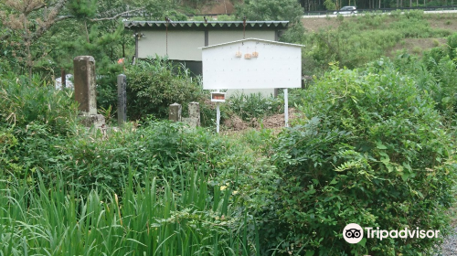 Grave of Tachibanano Hayanari and His Daughter