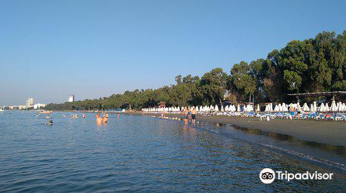 Dasoudi Beach