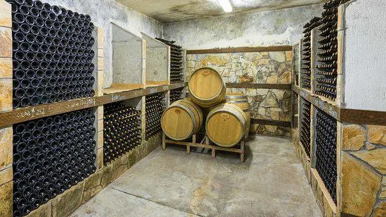 Sintica Winery