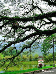 Taiping Lake Gardens