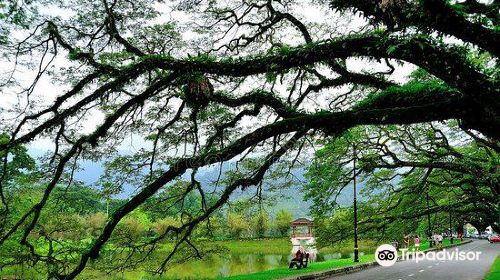 Taiping Lake Gardens