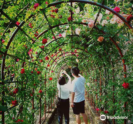 Atsumi Onsen's Rose Park