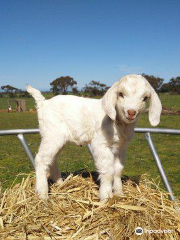 Animal Farm Goolwa