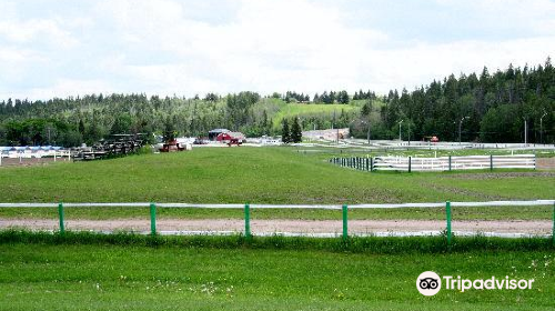 Whitemud Equine Learning Centre Association