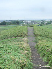 Ide Futagoyama Kofun Ancient Tomb