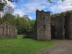 Carey's Castle