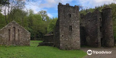Carey's Castle