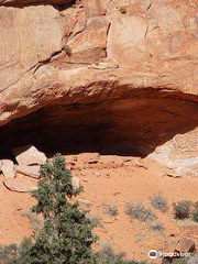 Red Cliffs National Conservation Area