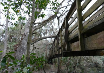 Hillsborough River