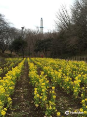 Yokohama Children’s Recreation Park