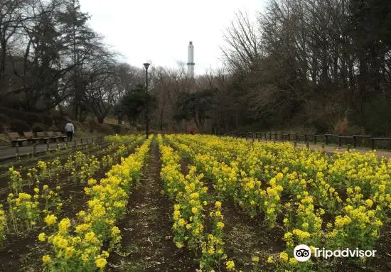 Yokohama Children’s Recreation Park