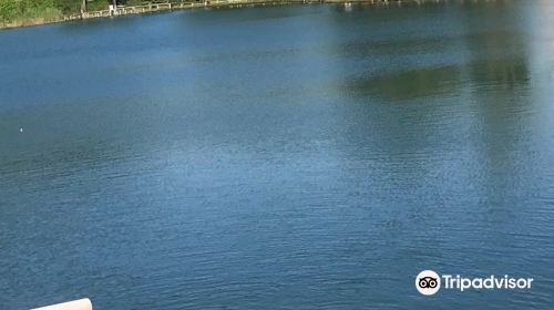 Lago di Massaciùccoli