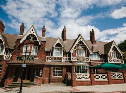 Forest Hotel