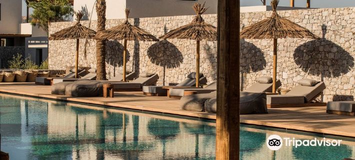 Oku Kos Hotels in Kos