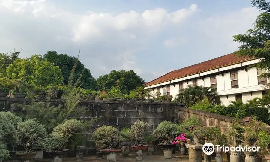 Bonsai Library and Museum