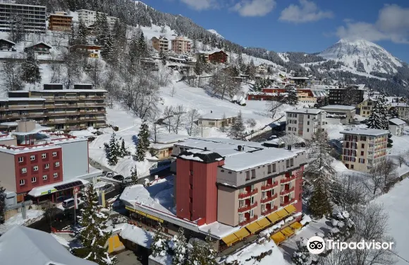 阿爾卑斯經典酒店