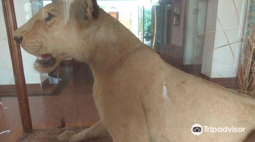 Rajiv Gandhi Regional Museum of Natural History