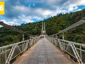 Singshore Bridge