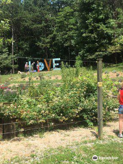 Beagle Ridge Herb Farm