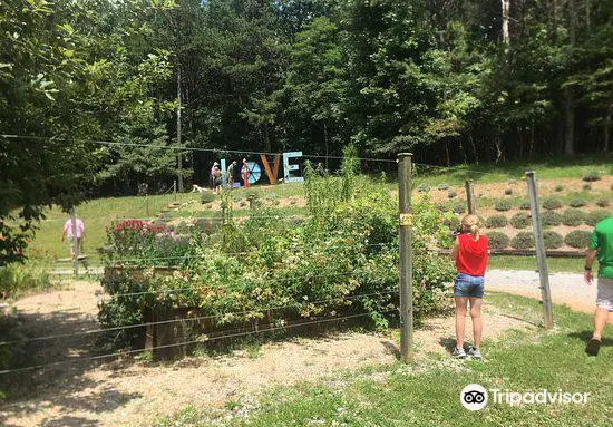 Beagle Ridge Herb Farm