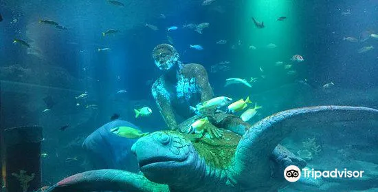 5_名古屋SEA LIFE水族館