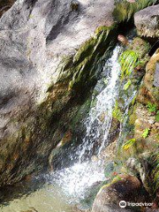 Pincaes Cascate