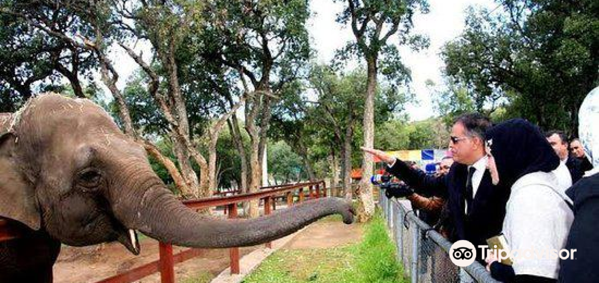 El Aouana Travel Guide 2023 Things to Do, What To Eat & Tips