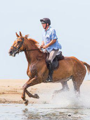 Cheston Farm Equestrian Centre