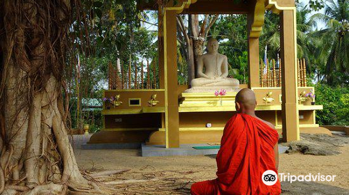 Mahamevnawa Amadahara Buddhist Monastery - Pinnawala