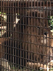 長野市茶臼山動物園