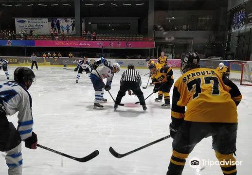1_The Rink Ice Arena