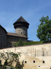 Burg Eulenberg