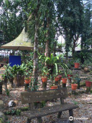 Pitcher Plant Garden