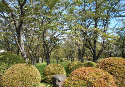 Tateshinayamashoko-ji Temple